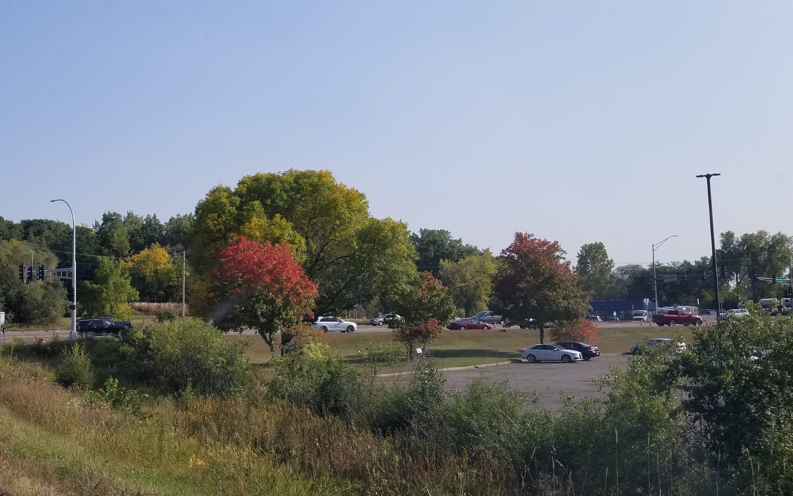 Maplewood Treeline Photo Fall 2020